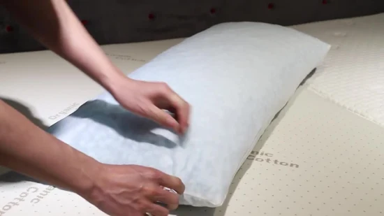 냉각 기억 거품 침대는 빨 수 있는 이동할 수 있는 덮개를 가진 표준 크기를 베게를 뱁니다